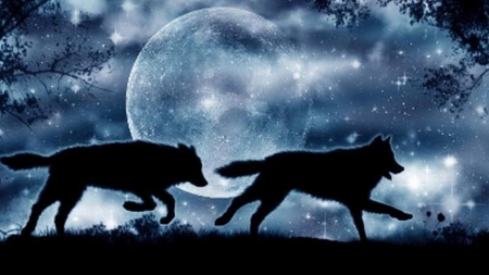 Wolves at Moonlight Night - moon, animal, night, art, sky, moonlight, wolves