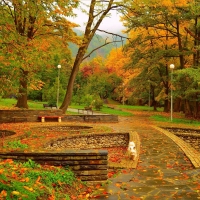 Benches in Park of Fall Foliage