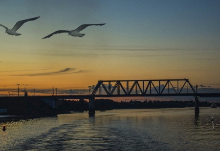 Beautiful sunset - sunset, bridge, bird, river