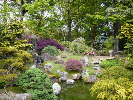 Japanese garden