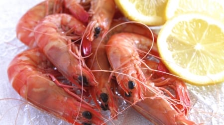 prawns - citrus, seafood, prawns, lemon