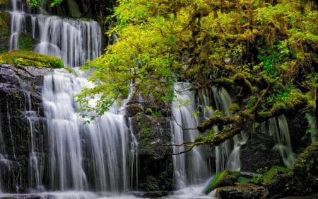 Purakauniu falls - cascades, waterfall, beautiful, falls, lovely, tree, rocks