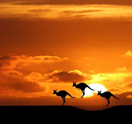 Australian sunset - nature, sky, australia, sunset