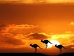 Australian sunset