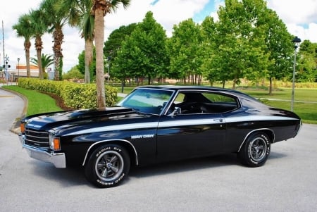 1972 Chevrolet Chevelle Heavy Chevy 4-Speed 350 V8