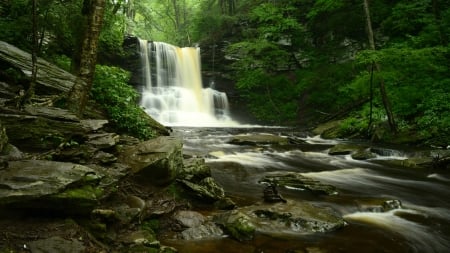 Sheldon Reynolds Waterfall, Pennsylvania - waterfall, forest, usa, nature