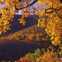 Shenandoah National Park in Fall