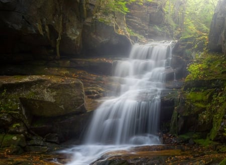 Cold Brook Falls - forest, cool, waterfall, fun, nature