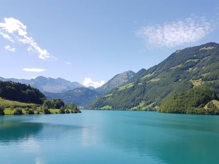 Swiss beauty - fun, nature, lake, forest, cool, mountain