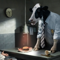 detective cow