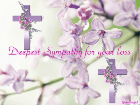 DEEPEST SYMPATHY - card, sympathy, deepest, comment