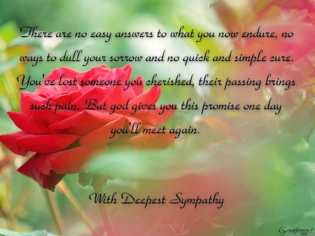 WITH DEEPEST SYMPATHY - card, sympathy, deepest, comment