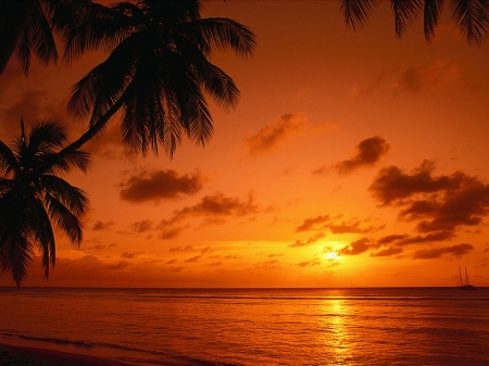 Tobago Sunset - clouds, beach, sea, sun, palm