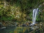 Curtis Falls, Australia