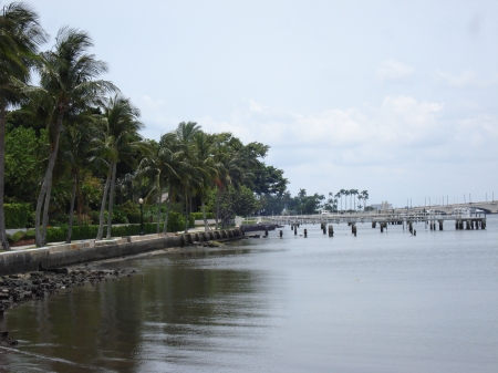 Palm Beach Island Bridge - Palm Trees, Palm Beach, Bridge, Florida