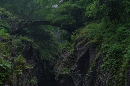 Bridge in Deep Green Forest Canyon - mountains, forests, bridges, nature, canyons, green