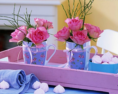 Beautiful Flowers - flowers, container, roses, pink