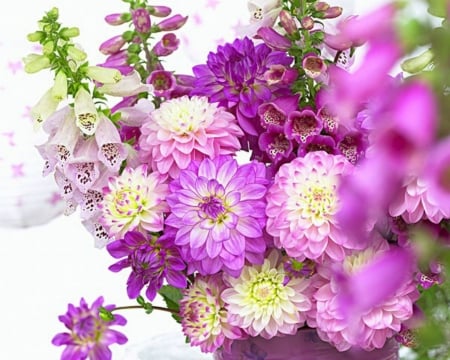 Beautiful Flowers