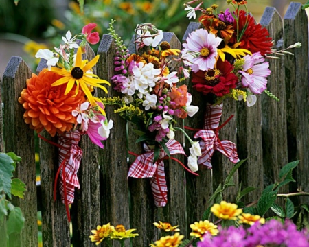 Beautiful Flowers - bloom, flowers, style, fence