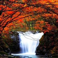 Autumn Waterfall