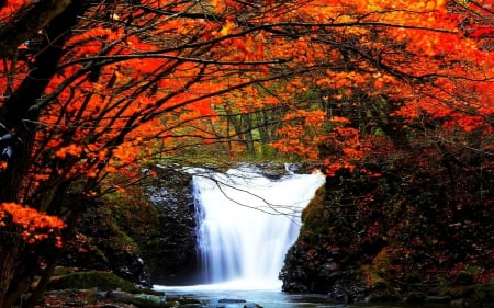 Autumn Waterfall - nature, autumn, landscape, trees, forest, river, waterfall