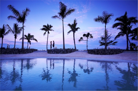 Fuji Island - palm trees, people, pool, resort