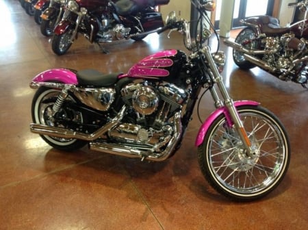 OHH-LA-LA - Harley Davidson, Hot, Motorcycles, Pink