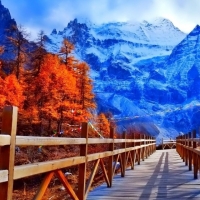 Autumn Wooden Bridge