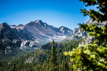 Forest Mountain - trees, nature, forest, mountain, sky