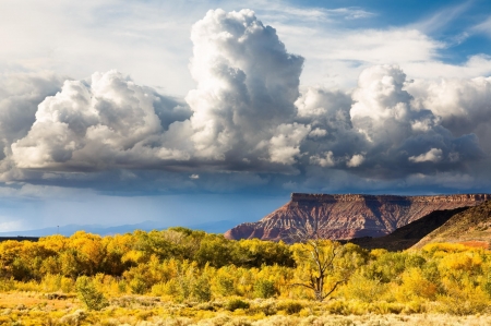 Zion National Park - zion, clouds, sea, nature, park, grass