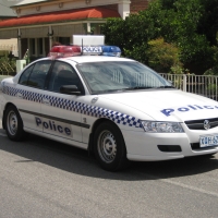 holden commodore