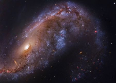 NGC 2442 Galaxy in Volans - fun, stars, cool, galaxies, space