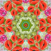 POPPY KALEIDOSCOPE