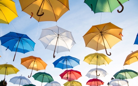 Umbrella - photo, shade, color, umbrella