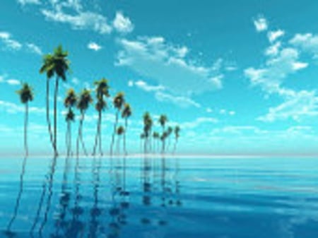 Coconut Island - Trees, Cloud, Sand, Sky, Beach, Sea