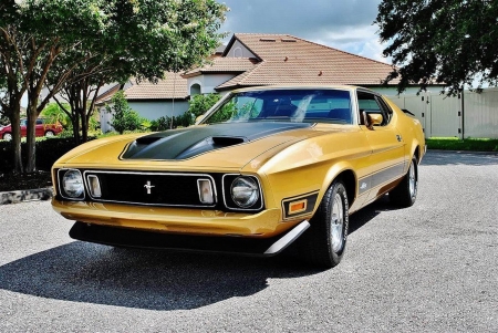 1973 Ford Mustang Mach 1 - car, muscle, mustang, old-timer, ford, mach 1