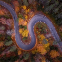 Forest road view from the top