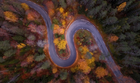 Forest road view from the top - skin, view from the top, autumn, forest, toamna, tree, road, texture