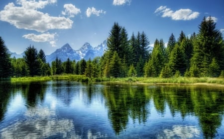 Reflecting Lake - clouds, trees, nature, landscape, lake, forest, reflection