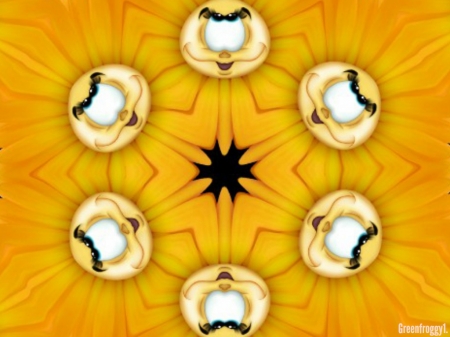 FUNNY DAISY FACES KALEIDOSCOPE - FUNNY, ABSTRACT, DAISY, FACES