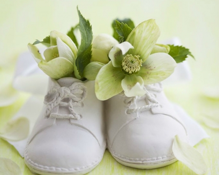 Beautiful Flowers - bloom, flowers, petals, shoe