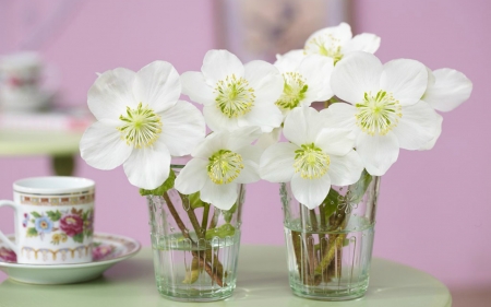 Beautiful Flowers - flowers, white, petals, glass