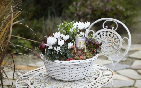 Beautiful Flowers - flowers, table, basket, plants