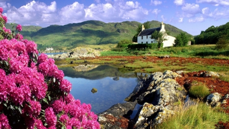 Scottish Mountain Landscape - nature, landscape, clouds, mountains, house, flowers