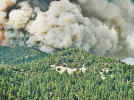 wildfire coming over the ridge - wildfire, forest, mountain, trees, smoke