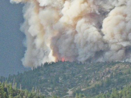 wildfire on the mountain - forests, trees, fire, smoke, mountains