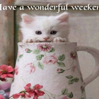 Have a Wonderful Weekend