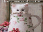 Have a Wonderful Weekend