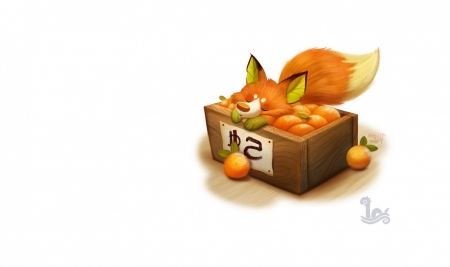 Fox and tangerins - piper thibodeau, vulpe, fox, orange, child, silly, fantasy, fruit, tangerine, cute