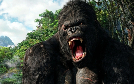 King Kong - Monkey, Movie, King, kong